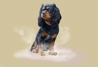 tynka