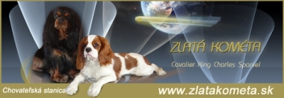 banner_zlata