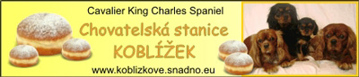 koblizek_banner01