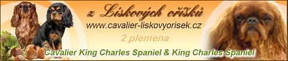 liskovy_banner01