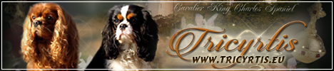 tricyrtis_banner