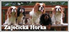 zaj_horka